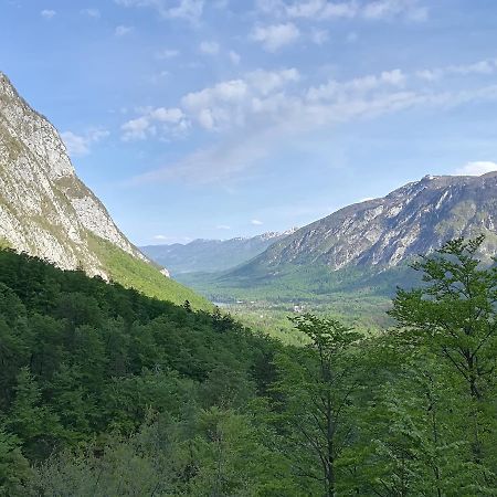 Apartments & Rooms Stare Bohinj Εξωτερικό φωτογραφία